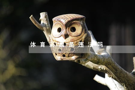 体育彩票是违法吗 体育彩票是违法吗