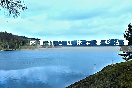 体育社会团体有哪些法律条文 体育社会团体有哪些法律条文