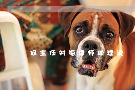 何主任对梅律师助理说 何主任对梅律师助理说