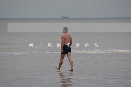 何以琛借律师身份 何以琛借律师身份