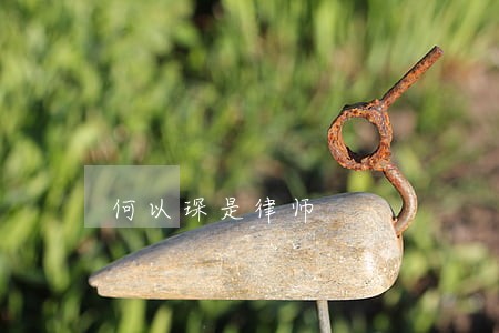 何以琛是律师 何以琛是律师