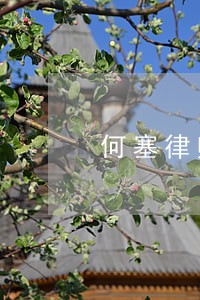 何塞律师台词