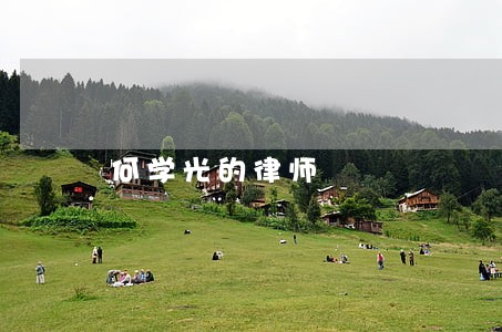 何学光的律师 何学光的律师