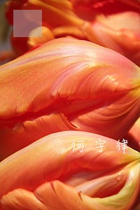 何宇律师解答了结了婚想改名 何宇律师解答了结了婚想改名