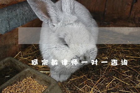 何宗敏律师一对一咨询