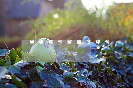 何帆律师解答了律师 何帆律师解答了律师
