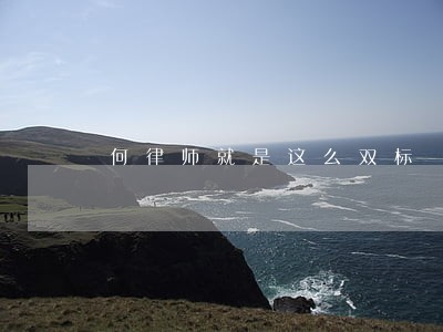 何律师就是这么双标 何律师就是这么双标