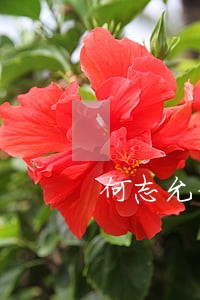 何志允律师 何志允律师