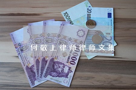 何敬上律师律师文集 何敬上律师律师文集