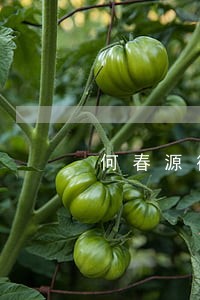 何春源律师解答了律师好 何春源律师解答了律师好
