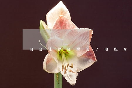 何晓佳律师解答了电瓶车撞了人