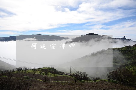 何晓安律师 何晓安律师