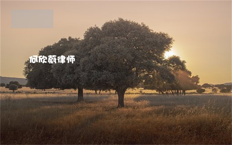 何欣蔚律师 何欣蔚律师