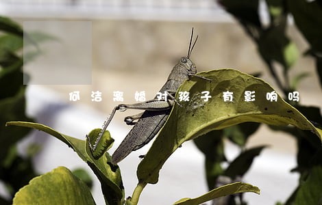 何洁离婚对孩子有影响吗 何洁离婚对孩子有影响吗
