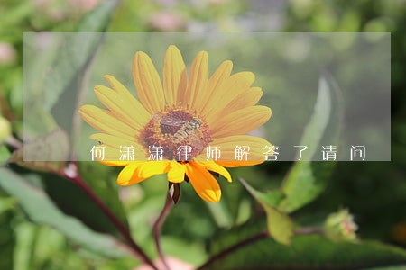 何潇潇律师解答了请问 何潇潇律师解答了请问