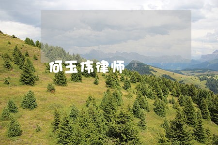 何玉伟律师 何玉伟律师
