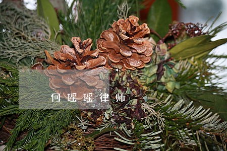 何瑶瑶律师 何瑶瑶律师