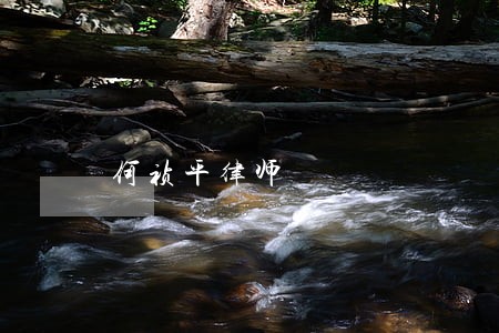 何祯平律师