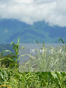 何种情况会引起司法强拆 何种情况会引起司法强拆
