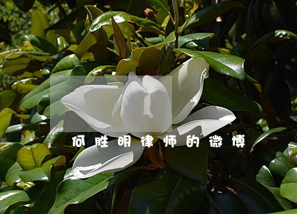 何胜明律师的微博 何胜明律师的微博