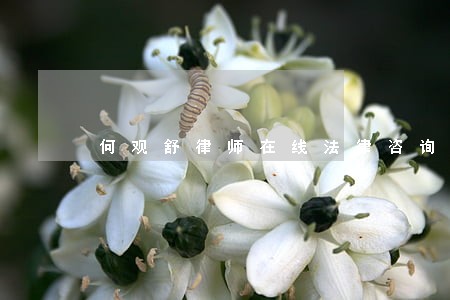 何观舒律师在线法律咨询 何观舒律师在线法律咨询