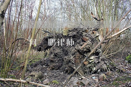 何赟鹏律师 何赟鹏律师