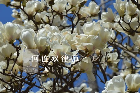 何连双律师 何连双律师
