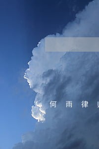 何雨律师网 何雨律师网