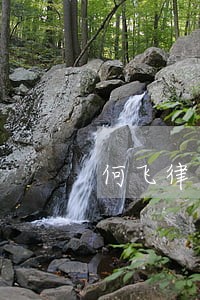何飞律师的评价 何飞律师的评价