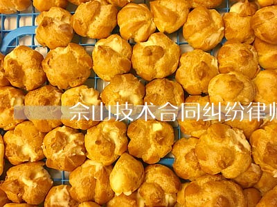 佘山技术合同纠纷律师 佘山技术合同纠纷律师
