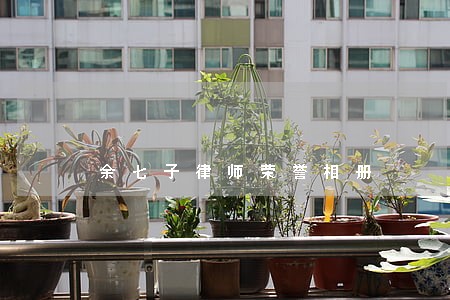 余七子律师荣誉相册 余七子律师荣誉相册