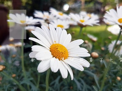 余向栋律师解答了大学作弊处分