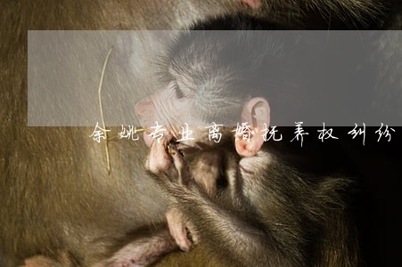 余姚专业离婚抚养权纠纷律师价格 余姚专业离婚抚养权纠纷律师价格