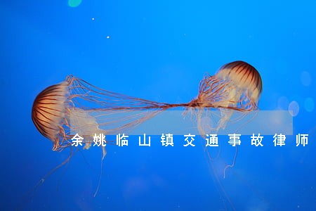 余姚临山镇交通事故律师 余姚临山镇交通事故律师
