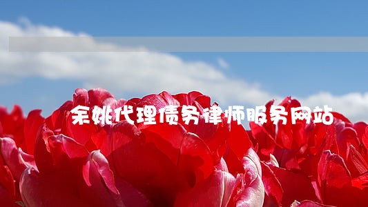 余姚代理债务律师服务网站 余姚代理债务律师服务网站