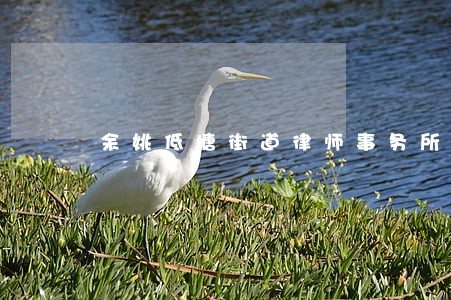 余姚低塘街道律师事务所排名 余姚低塘街道律师事务所排名