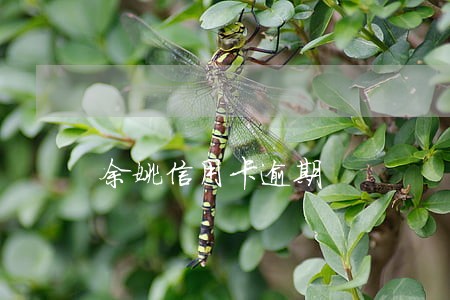 余姚信用卡逾期 余姚信用卡逾期
