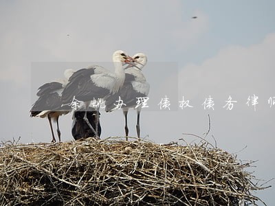 余姚办理债权债务律师找谁 余姚办理债权债务律师找谁