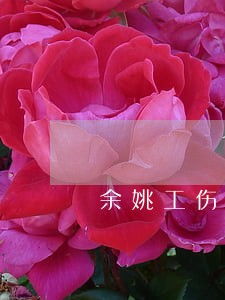 余姚工伤伤残条例 余姚工伤伤残条例