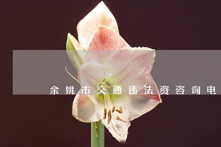 余姚市交通违法资咨询电话号码 余姚市交通违法资咨询电话号码