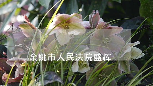 余姚市人民法院盛辉 余姚市人民法院盛辉