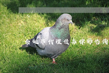 余姚市代理债务律师咨询网站 余姚市代理债务律师咨询网站