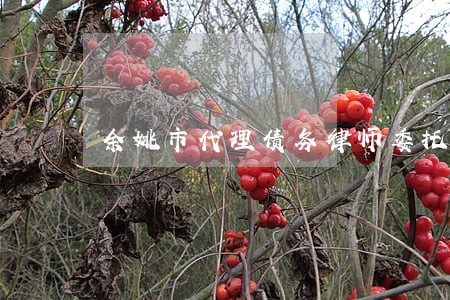 余姚市代理债务律师委托流程 余姚市代理债务律师委托流程