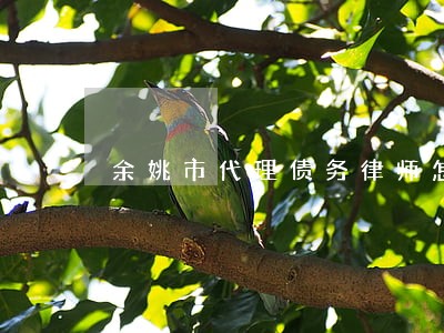 余姚市代理债务律师怎么委托