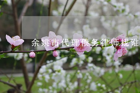 余姚市代理债务律师找谁 余姚市代理债务律师找谁