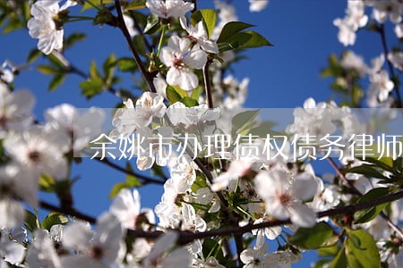 余姚市办理债权债务律师费用标准 余姚市办理债权债务律师费用标准