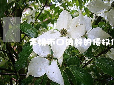 余姚市口碑好的债权债务律师费 余姚市口碑好的债权债务律师费