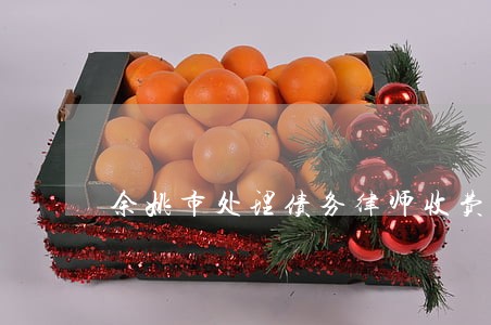 余姚市处理债务律师收费 余姚市处理债务律师收费