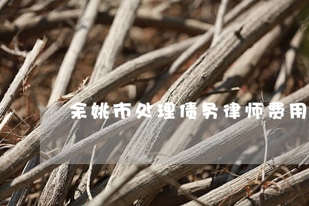 余姚市处理债务律师费用标准 余姚市处理债务律师费用标准