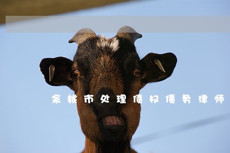 余姚市处理债权债务律师费